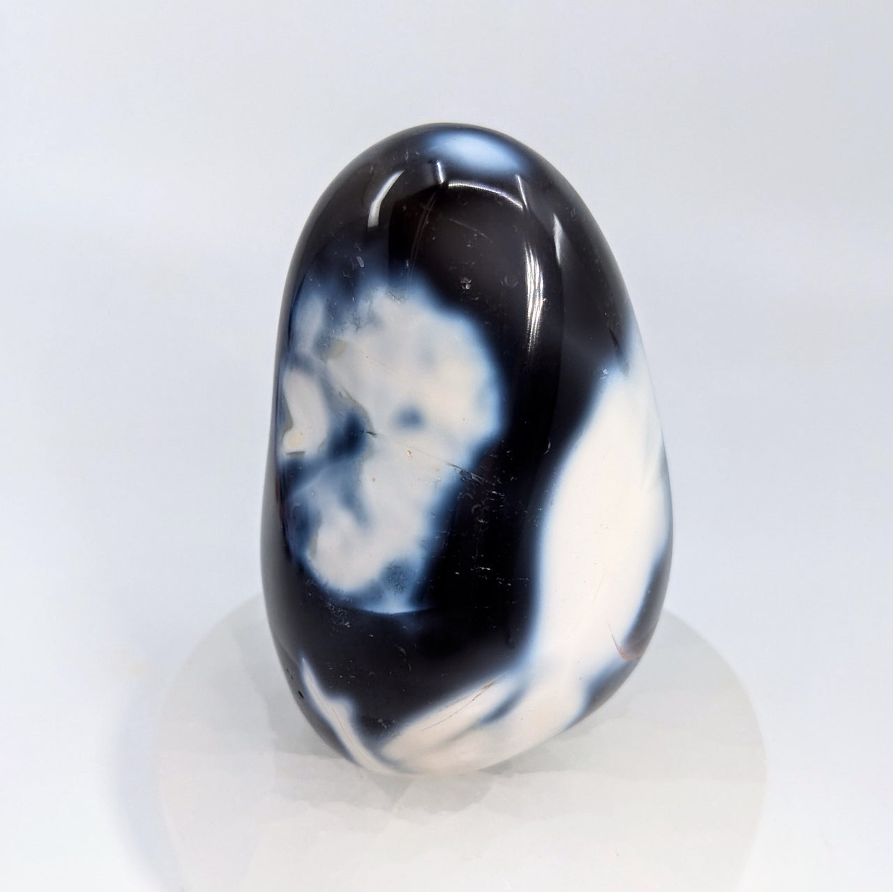 Orca Agate 3.6" Freeform #LV6553