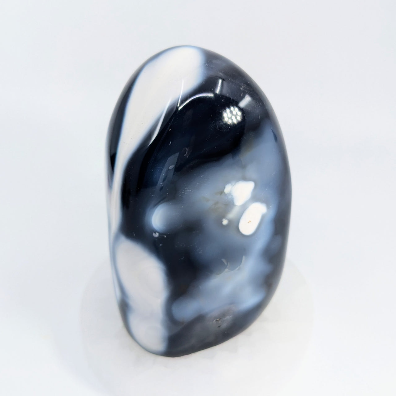 Orca Agate 4" Freeform #LV6554