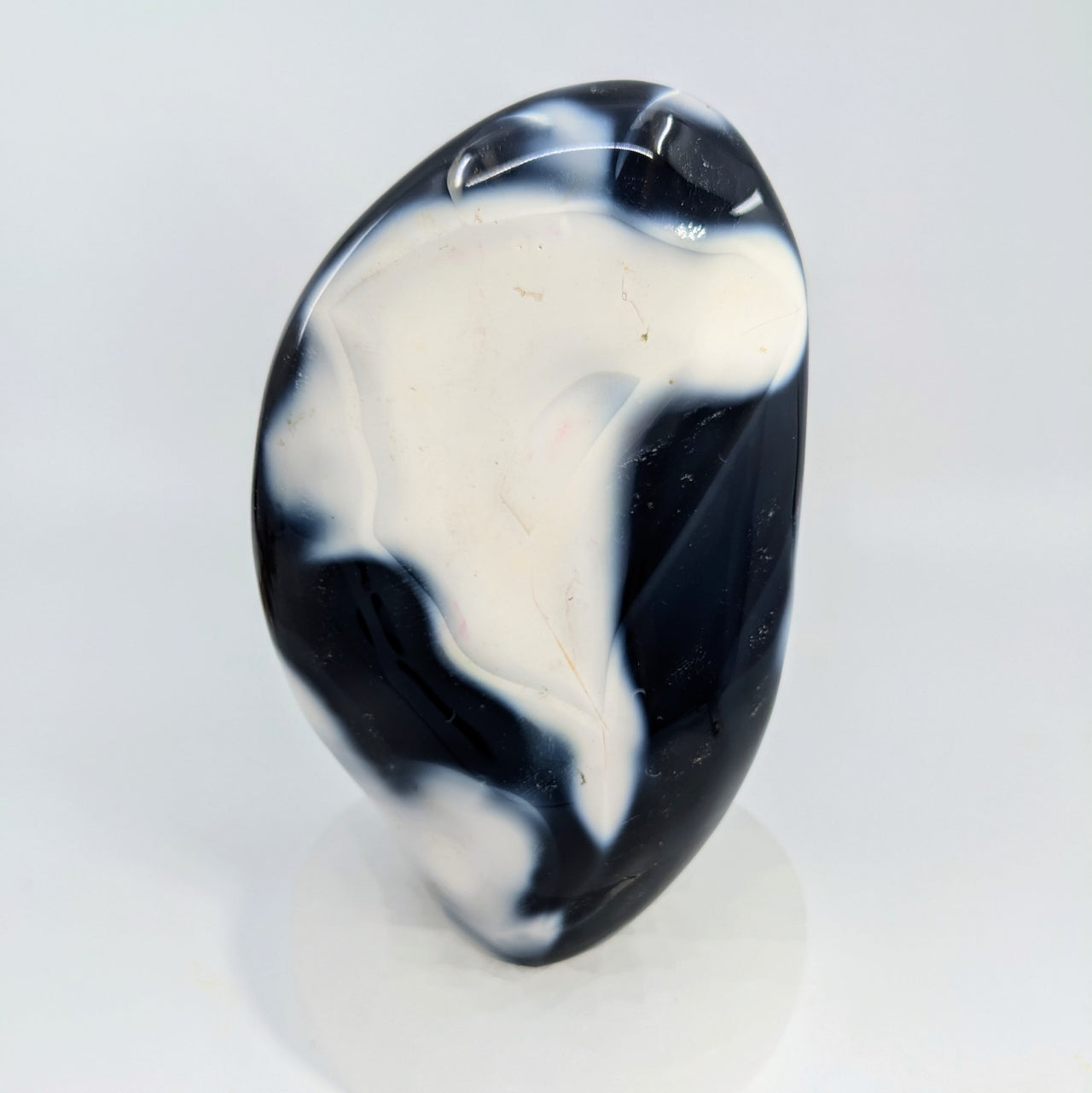 Orca Agate 5.6" Freeform #LV6557