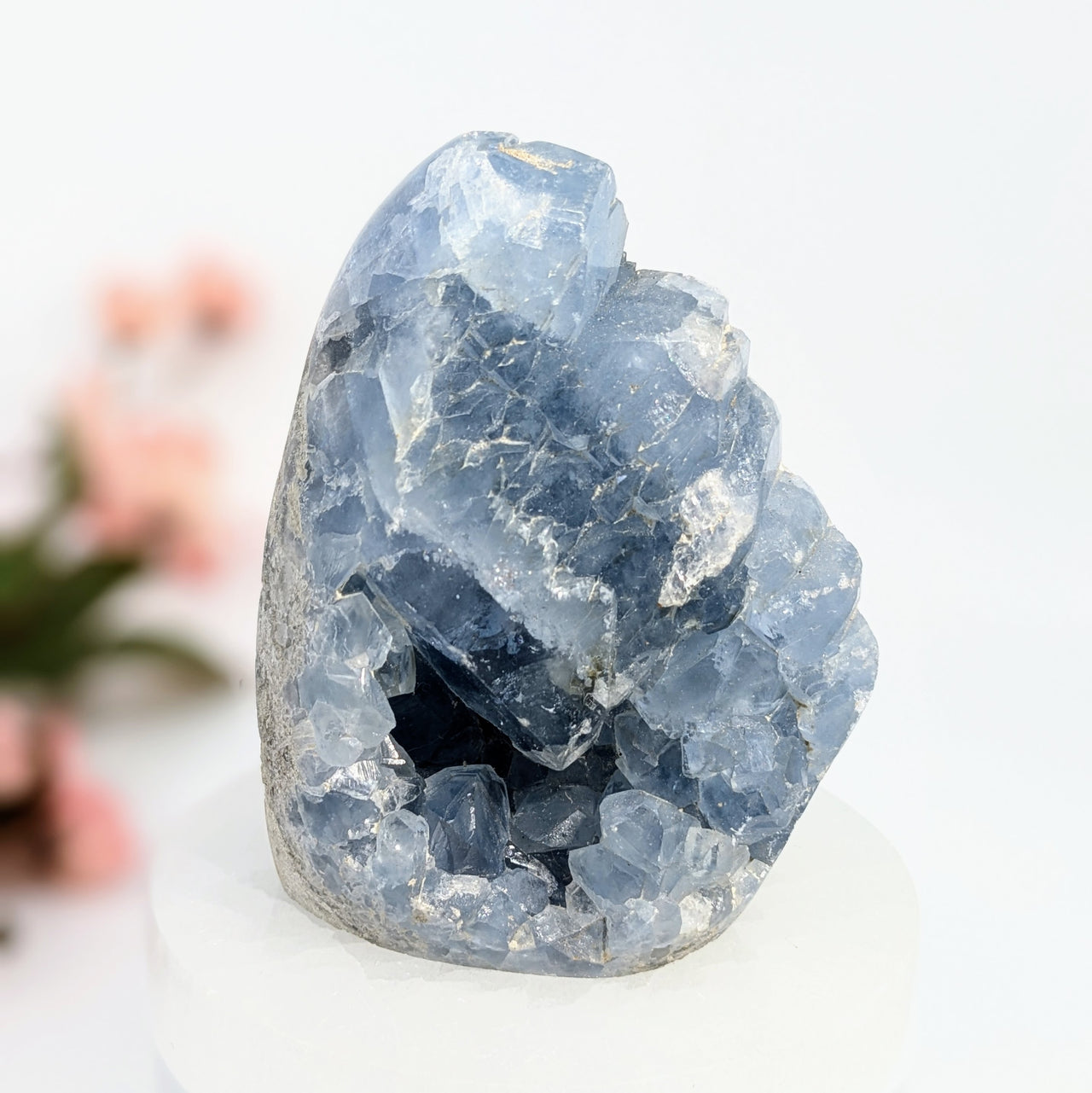 Celestite 3.6" Freeform #LV6569