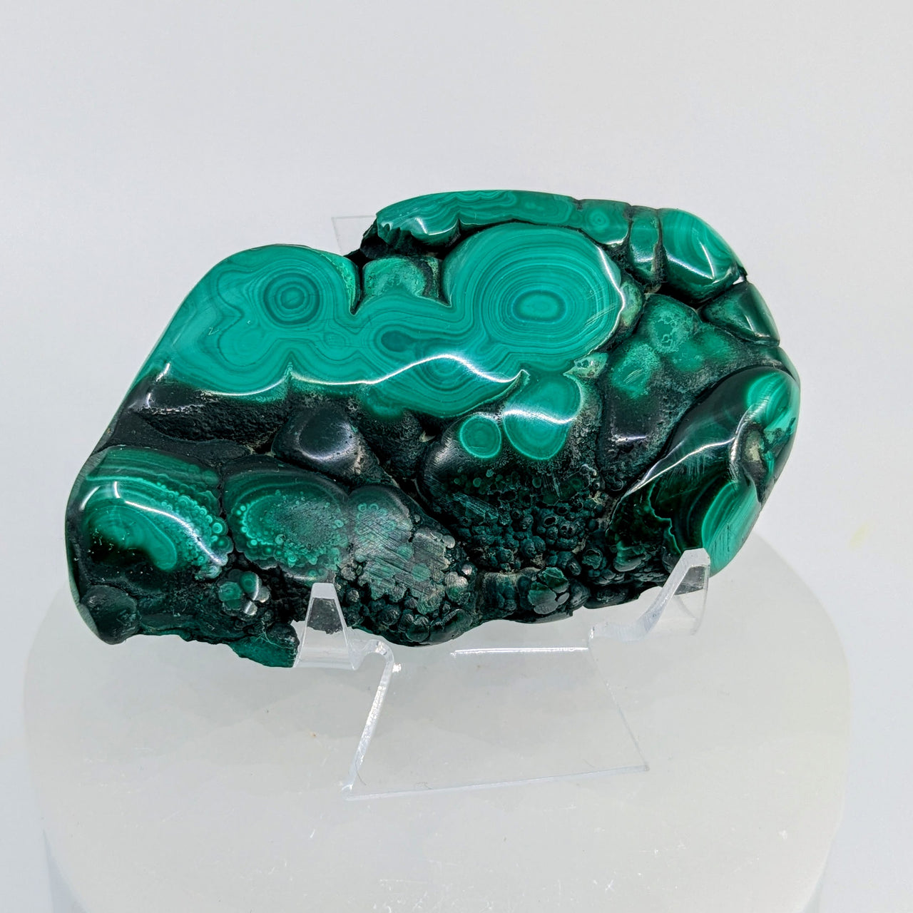 Malachite 3" Slab Specimen #LV6595