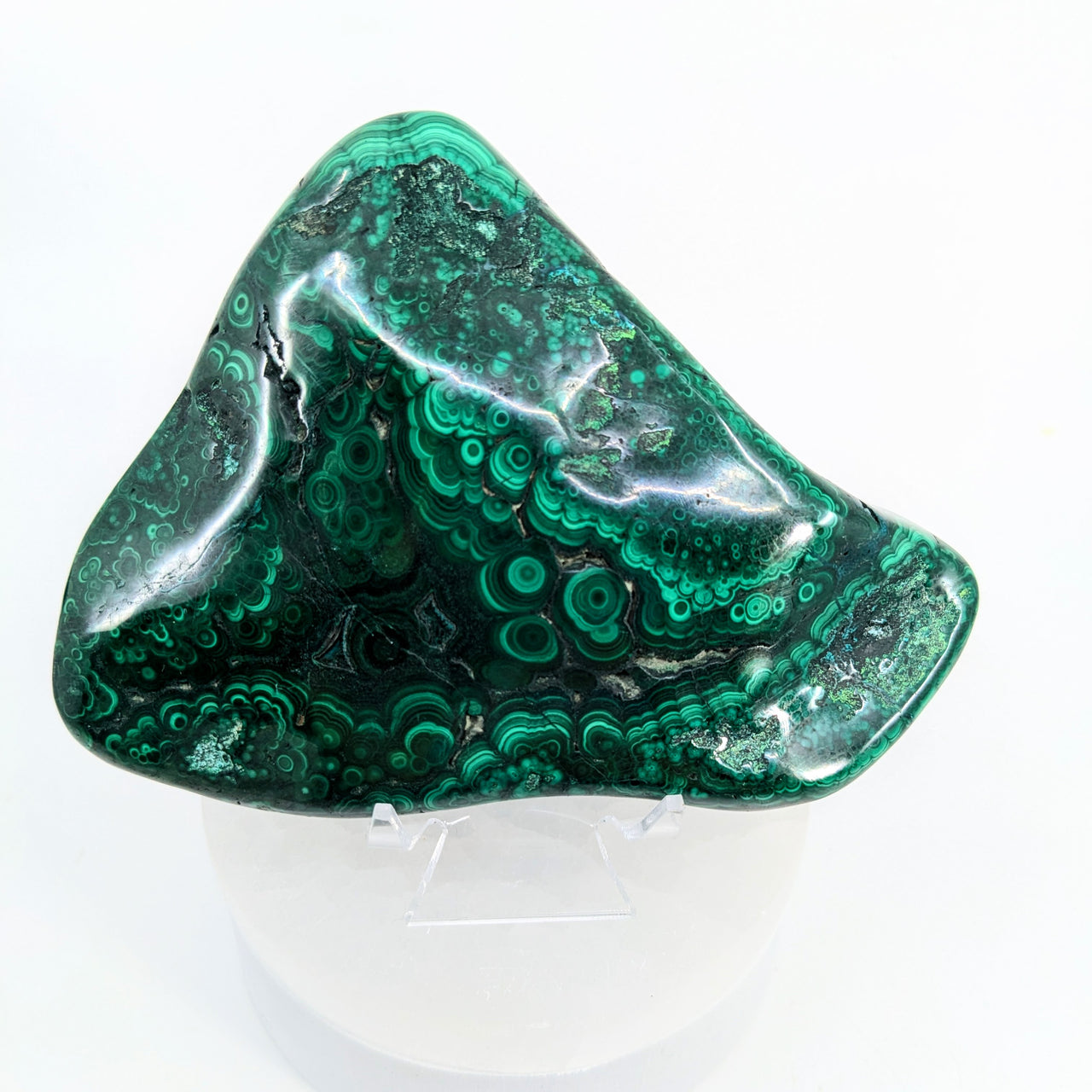 Malachite 5" Polished Specimen #LV6597