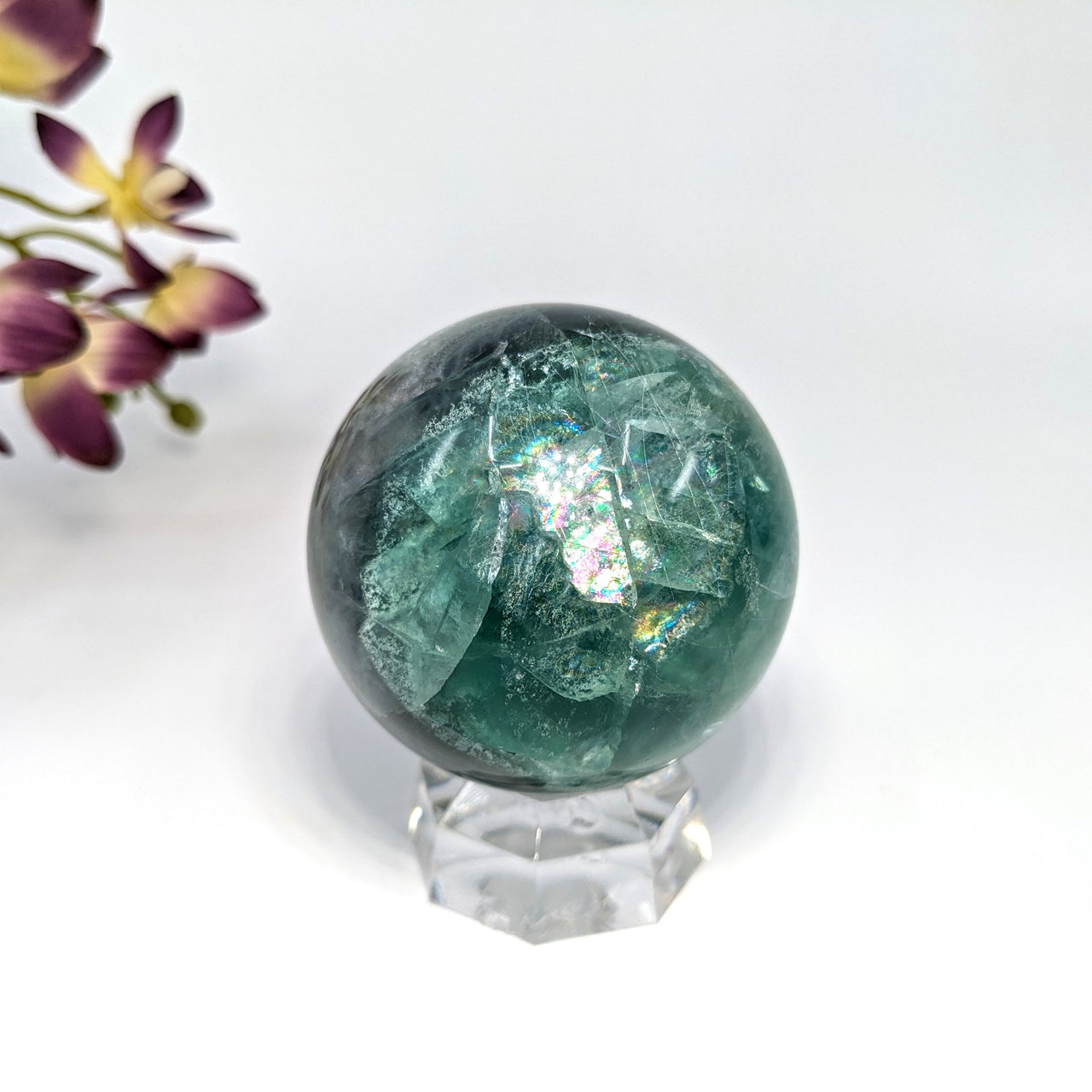 Fluorite 2" Sphere #LV6623