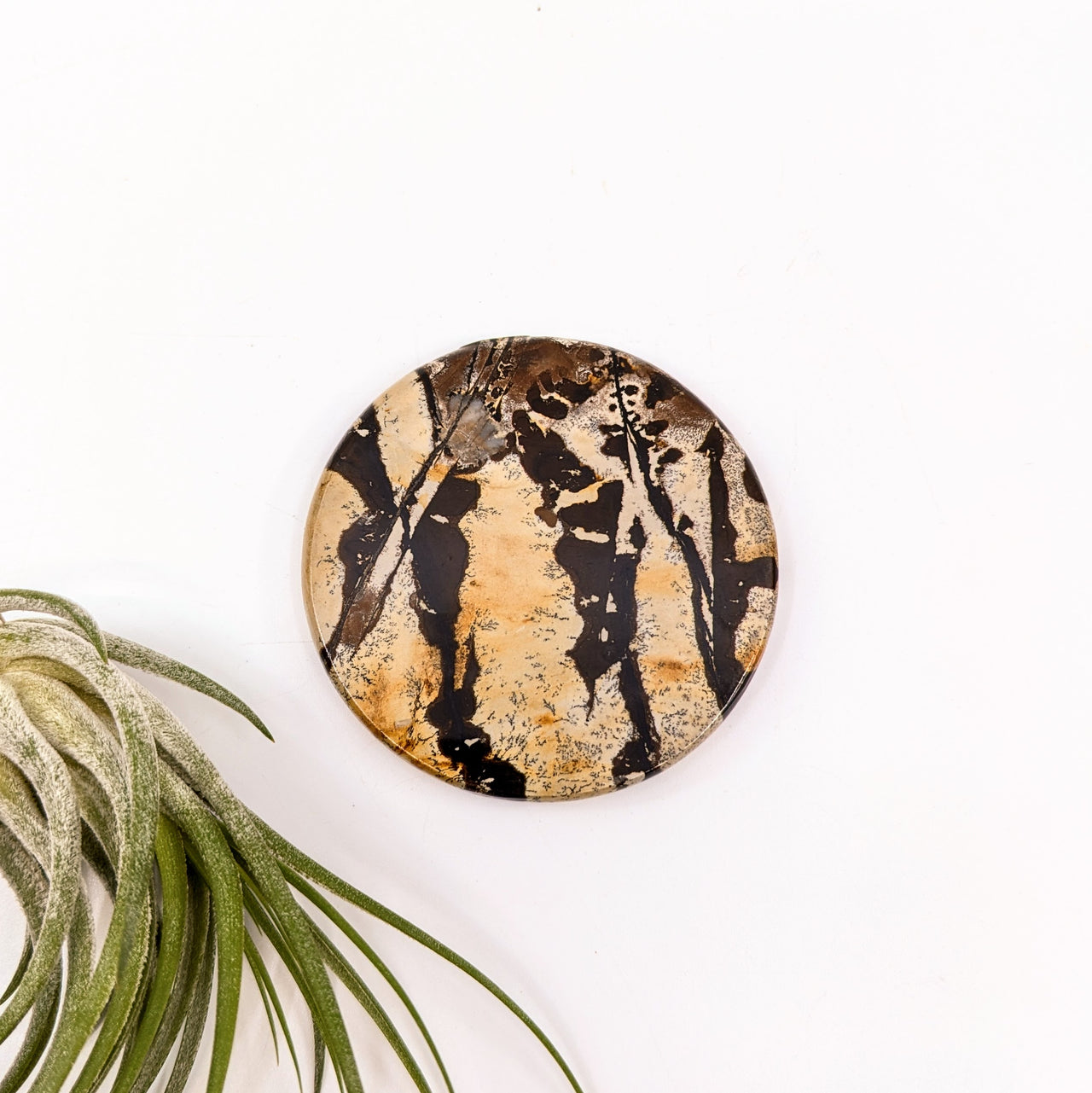 Dendritic Jasper 2.3" Disc #LV6636