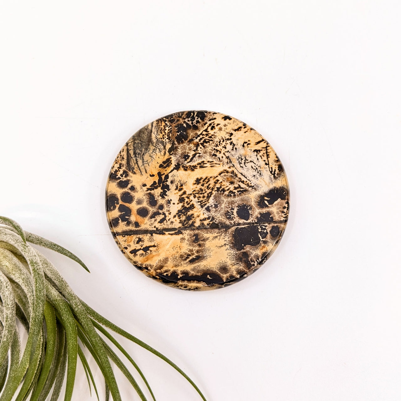 Dendritic Jasper 2.3" Disc #LV6637