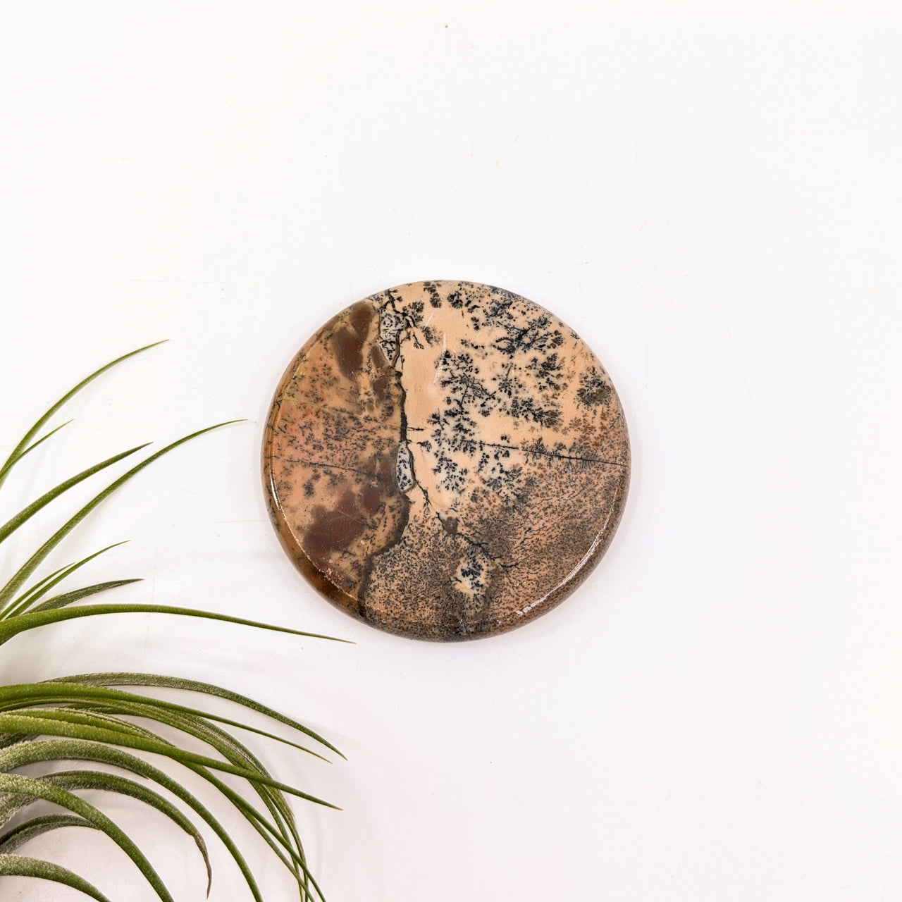 Dendritic Jasper 2.3" Disc #LV6639