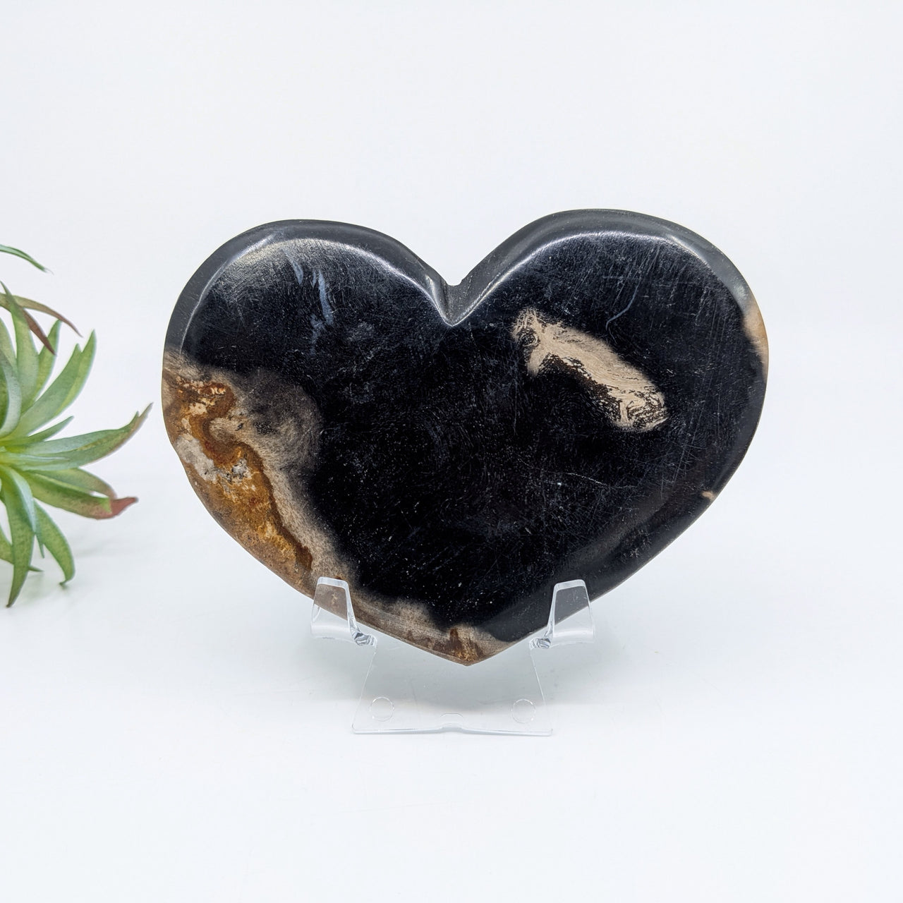 Petrified Wood 4.7" Heart #LV6661