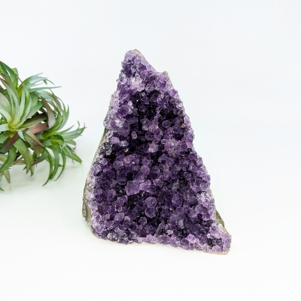 Amethyst 4.2" Cut Base Geode #LV6666