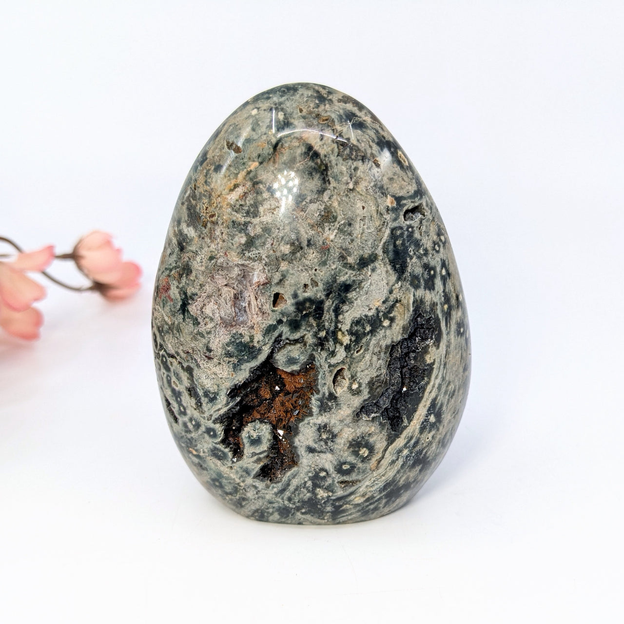 Kambaba Jasper 3.3" Freeform #LV6672