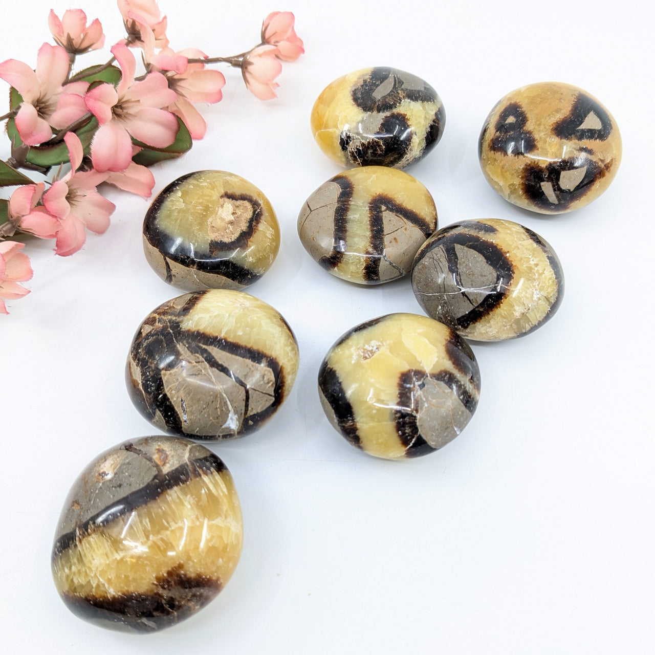 Septarian 1.7 - 2.3" Small Pebble #LV6681