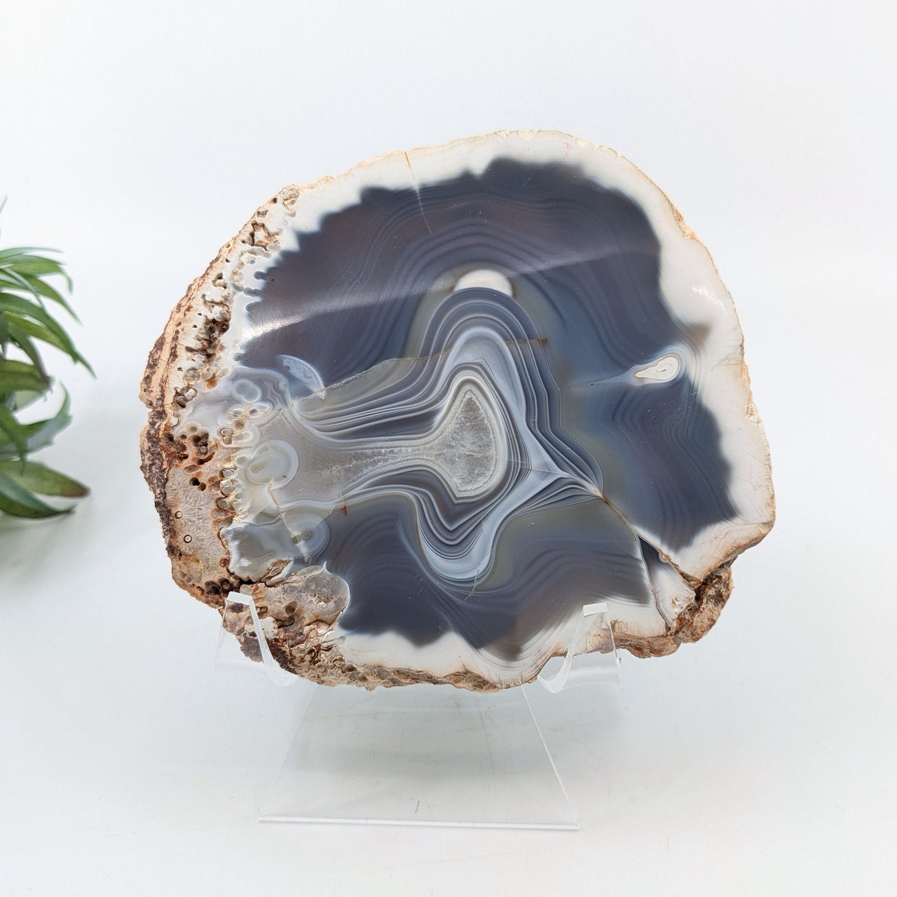 Agate 4.3" Polished Slab #LV6682