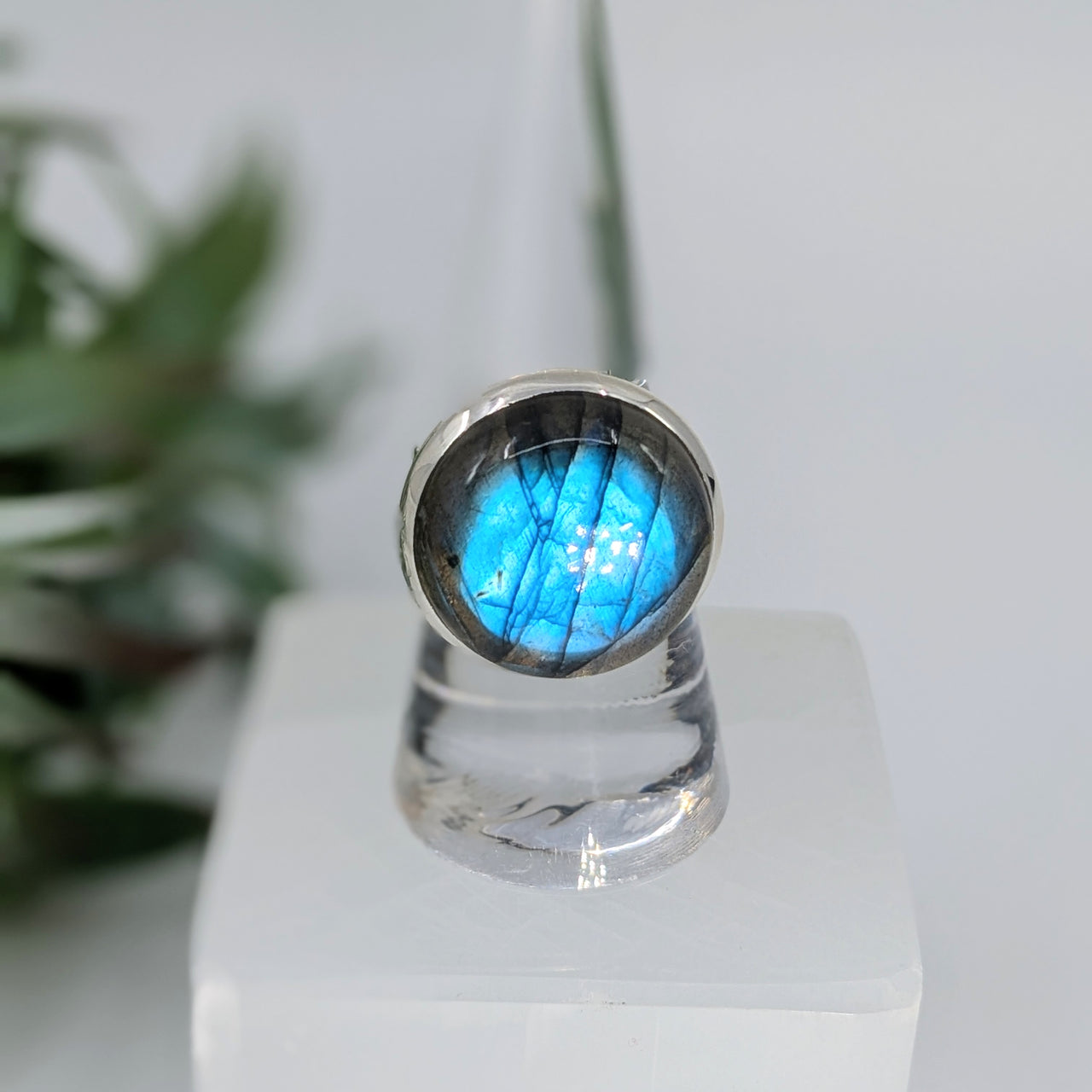 Labradorite  Sz 6.5 - Sz 10 S.S. Round Ring #LV6715