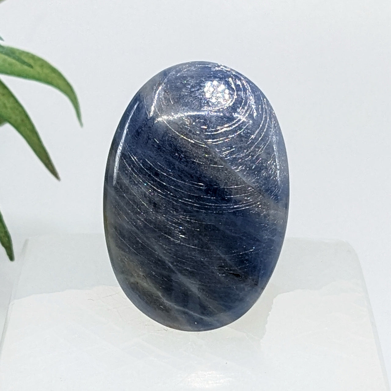 Blue Sapphire 1.4" Gem Quality Palm Stone #LV6721