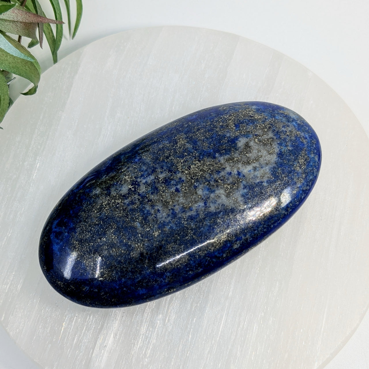 Lapis Lazuli 3.3" Palm Stone #LV6736