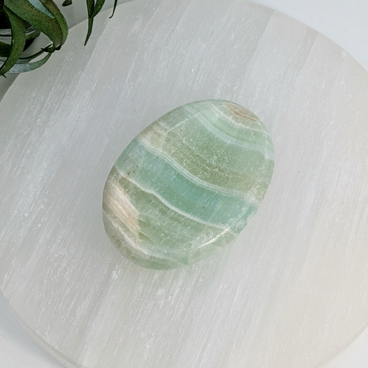 Pistachio Calcite 2" Worry Stone #LV6745