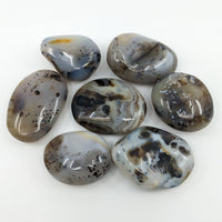 Thumbnail for Dendritic Agate Polished Pebble #P164