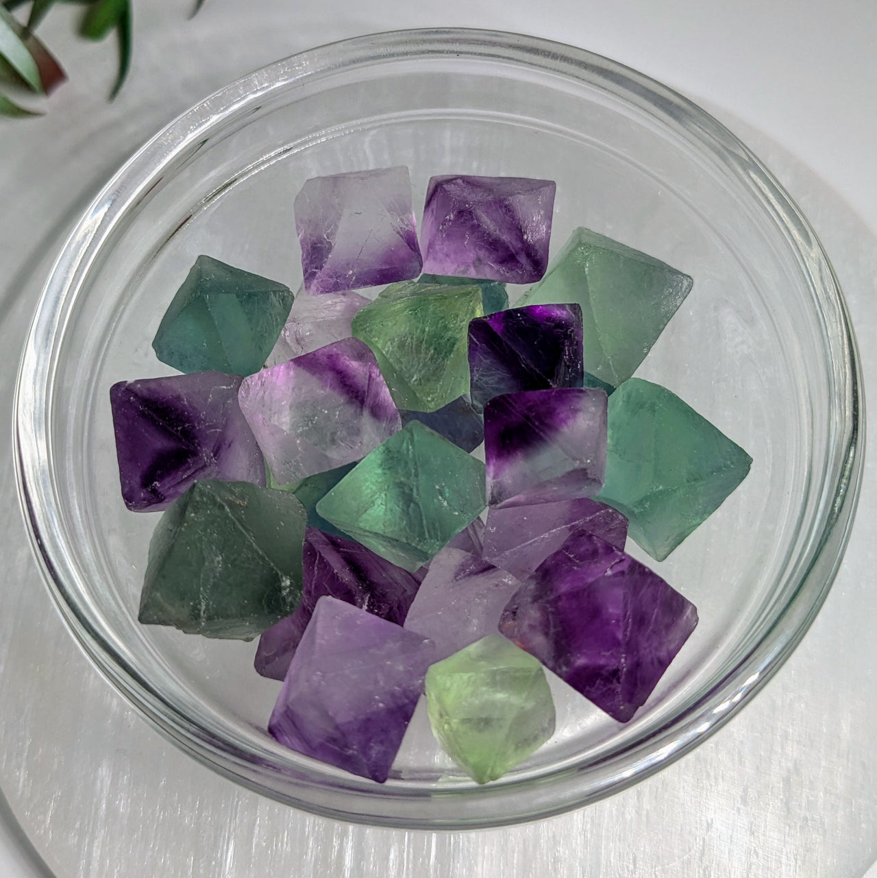 Fluorite Octahedron Choose Size #R180