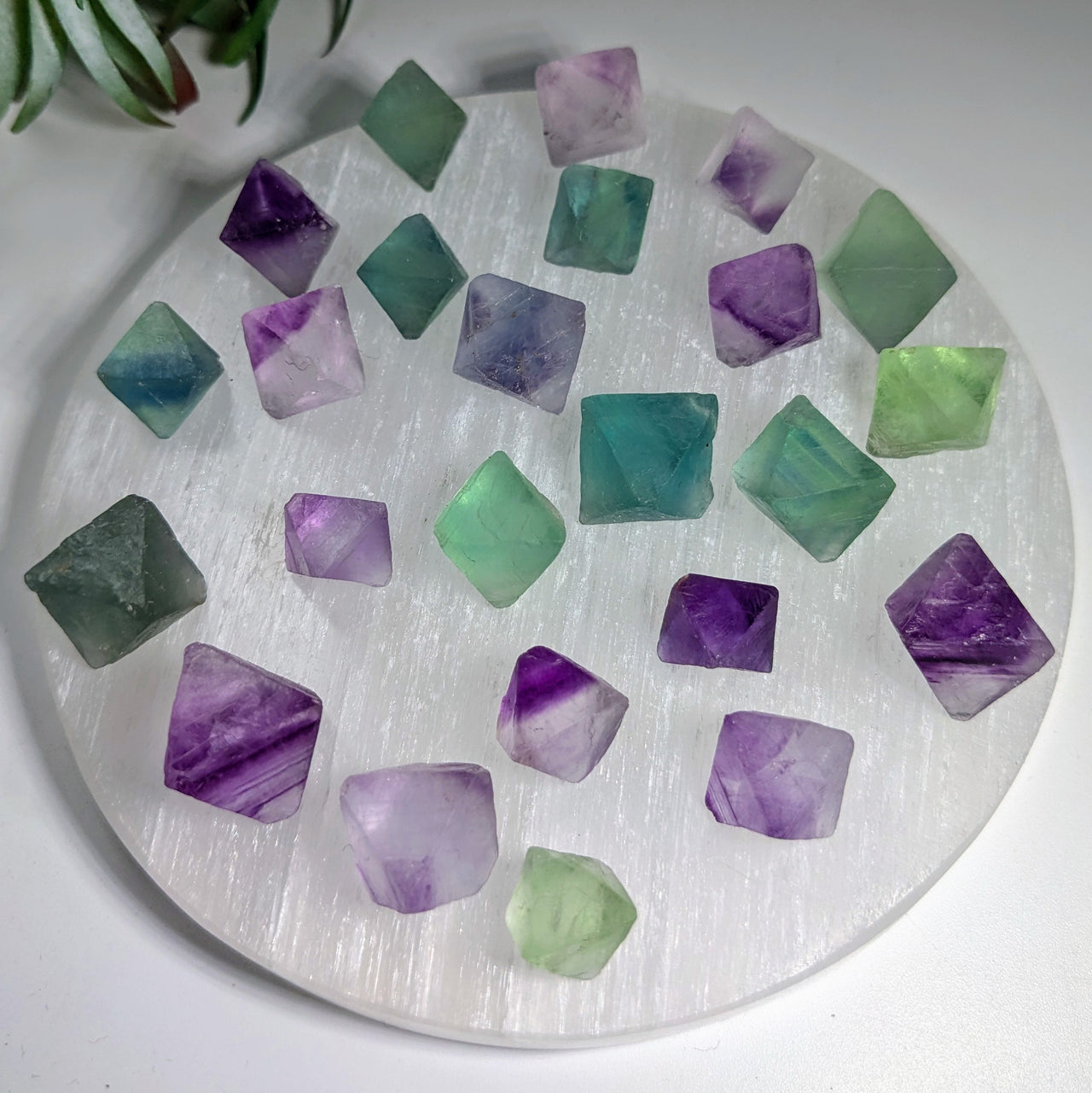 Fluorite Octahedron Choose Size #R180