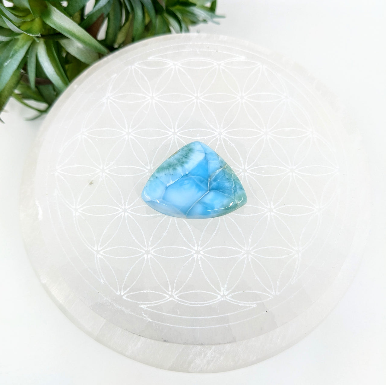 Larimar Cabachon Grade A 7g #LV5697