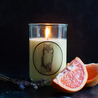 Thumbnail for Soy Candle with Cotton Wick - the White Lodge & Hermitage #Q413