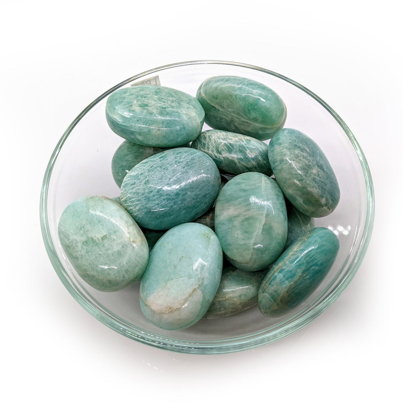 Amazonite Palm #LV0181