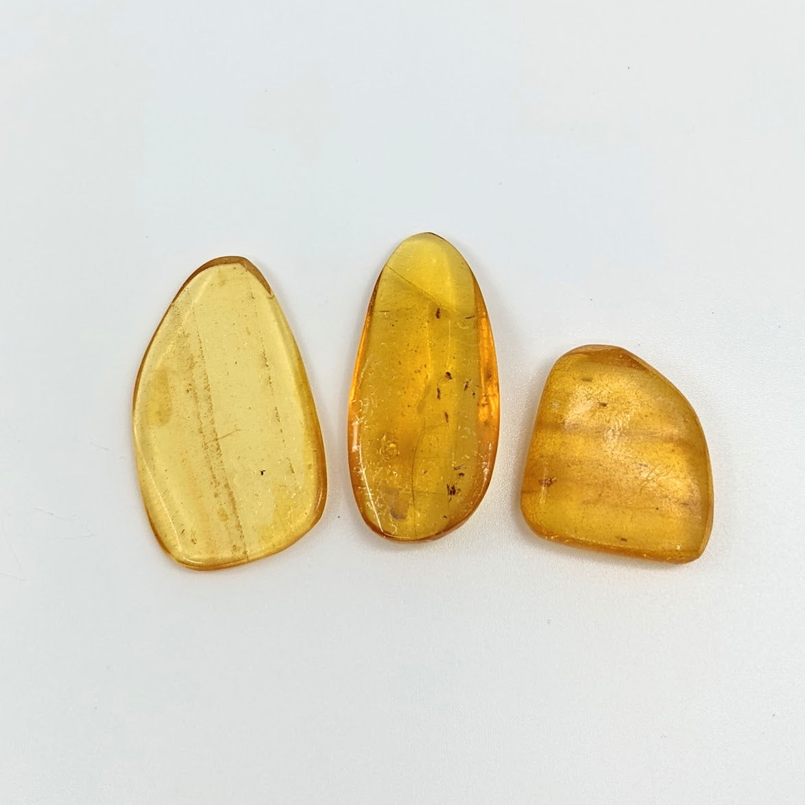 Amber Copal 1 - 1.7’ Polished w/ Insect Inclusions #LV1874 on white surface