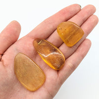 Thumbnail for Amber Copal pieces with insect inclusions displayed on a hand for product LV1874