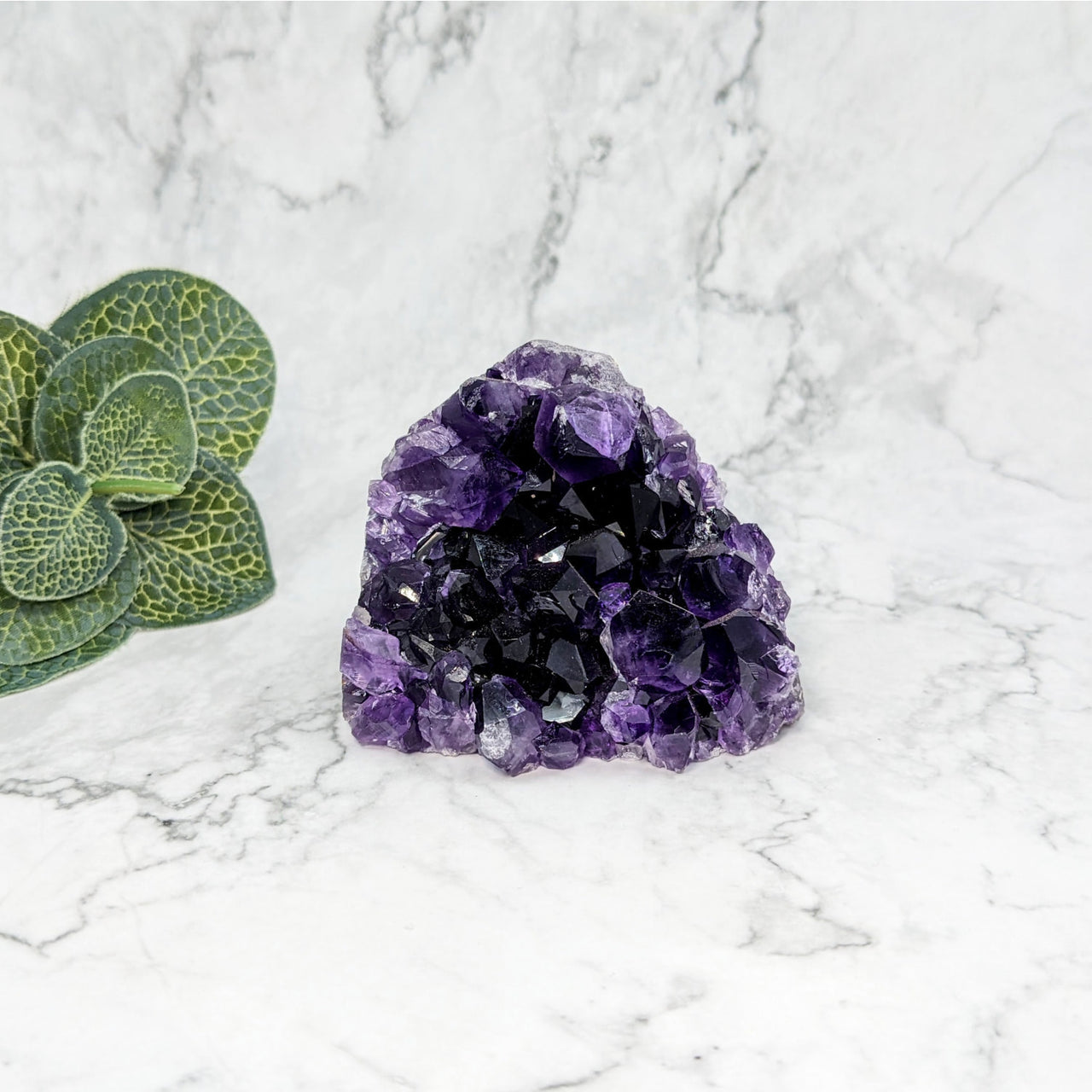 Amethyst crystal with green plant: Amethyst 2.2’ Geode Freeform #LV5767