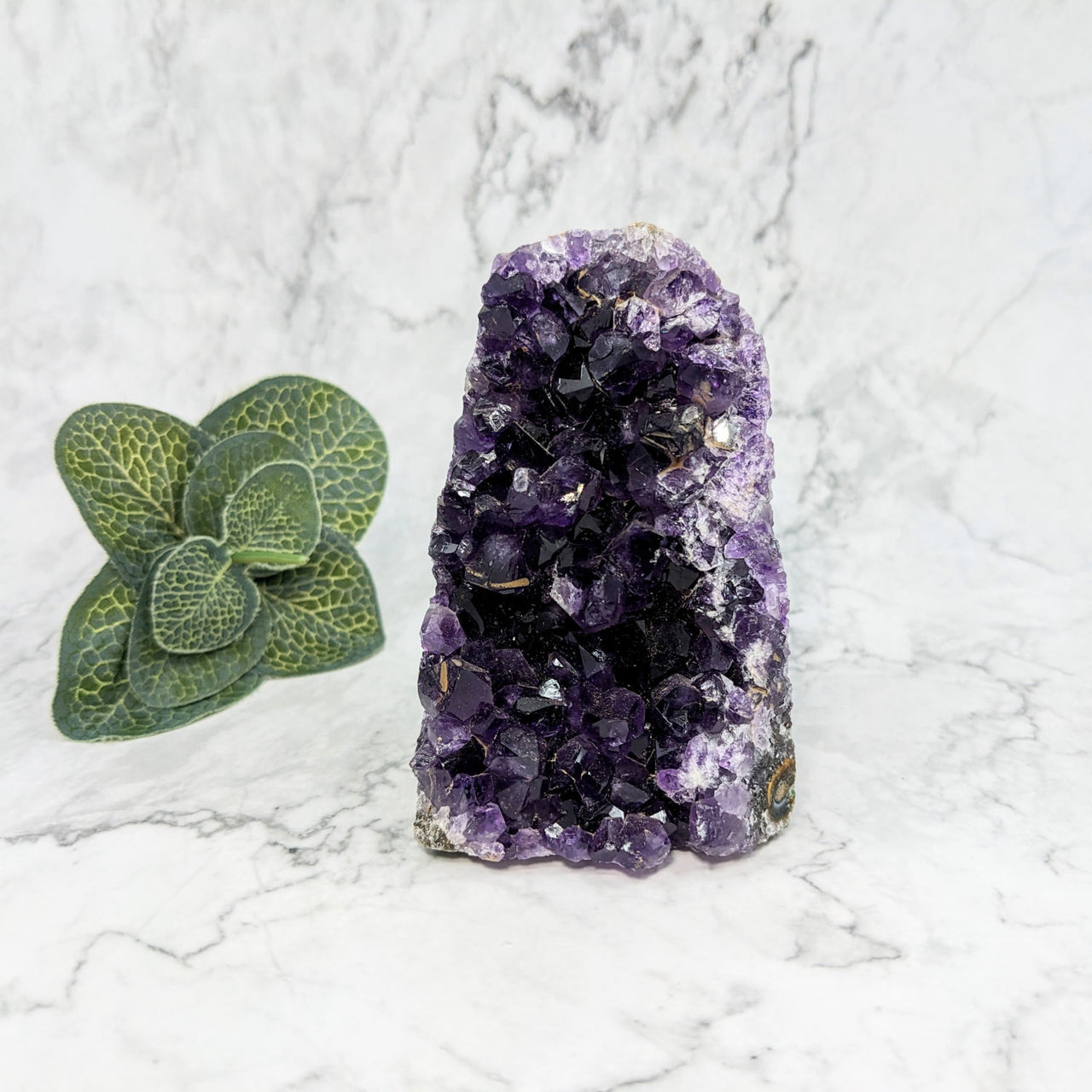 Amethyst Crystal with Green Leaf - 3.7’ Geode Freeform #LV5765