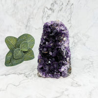 Thumbnail for Amethyst Crystal with Green Leaf - 3.7’ Geode Freeform #LV5765