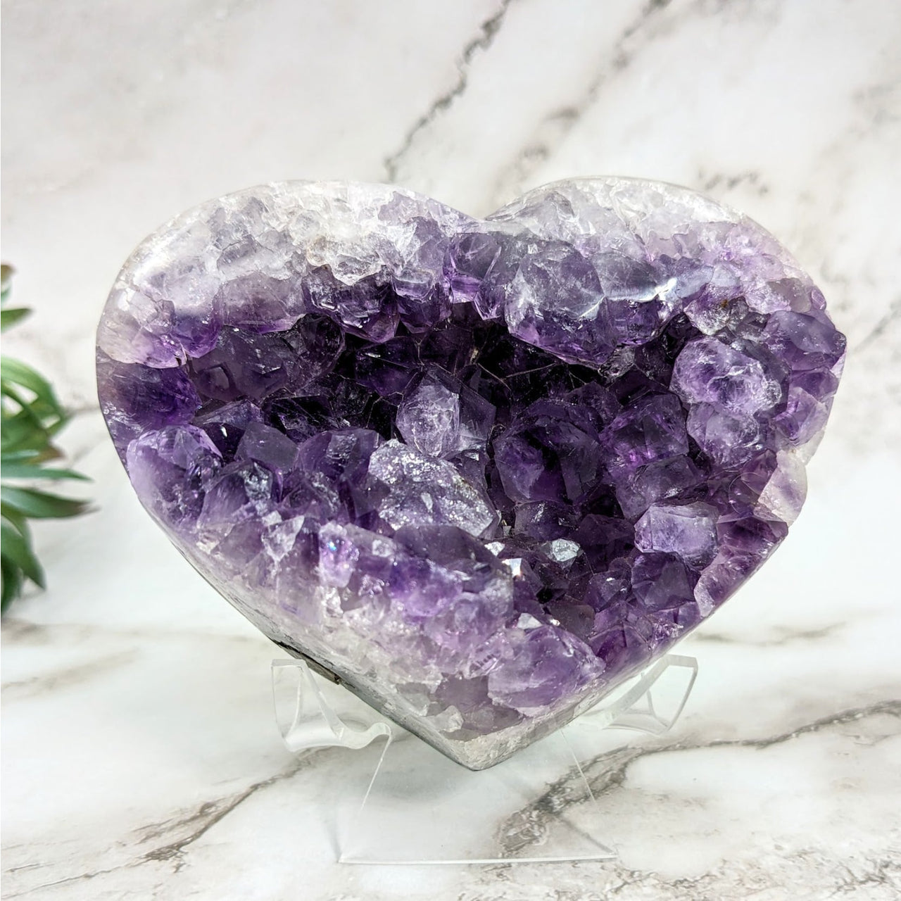 Close-up of Heart-Shaped Amethyst 4.2’ Geode Heart #LV4632 with Plant Background