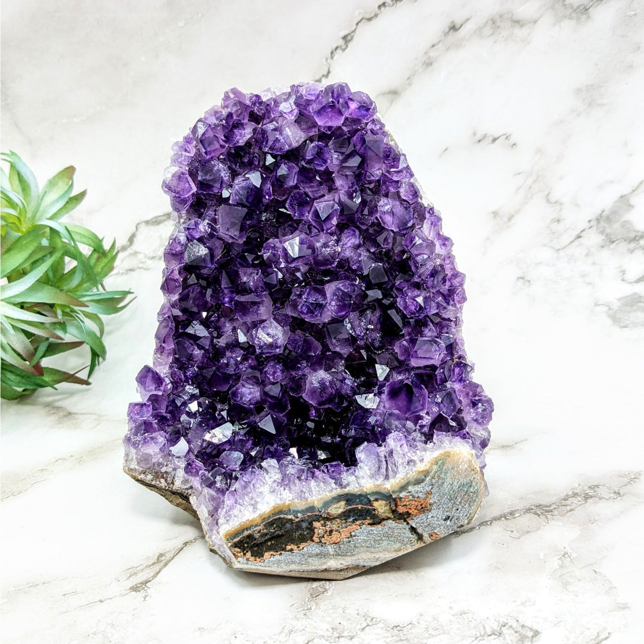 Amethyst 5.4’ Geode Freeform #LV4503 on marble slab with plant in the background