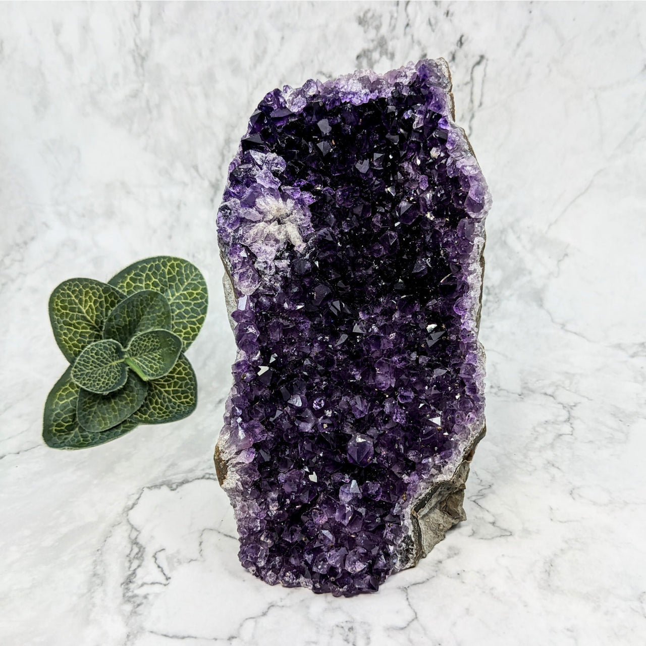 Amethyst 6’ Geode Freeform LV5769 with amethite crystal and small plant display