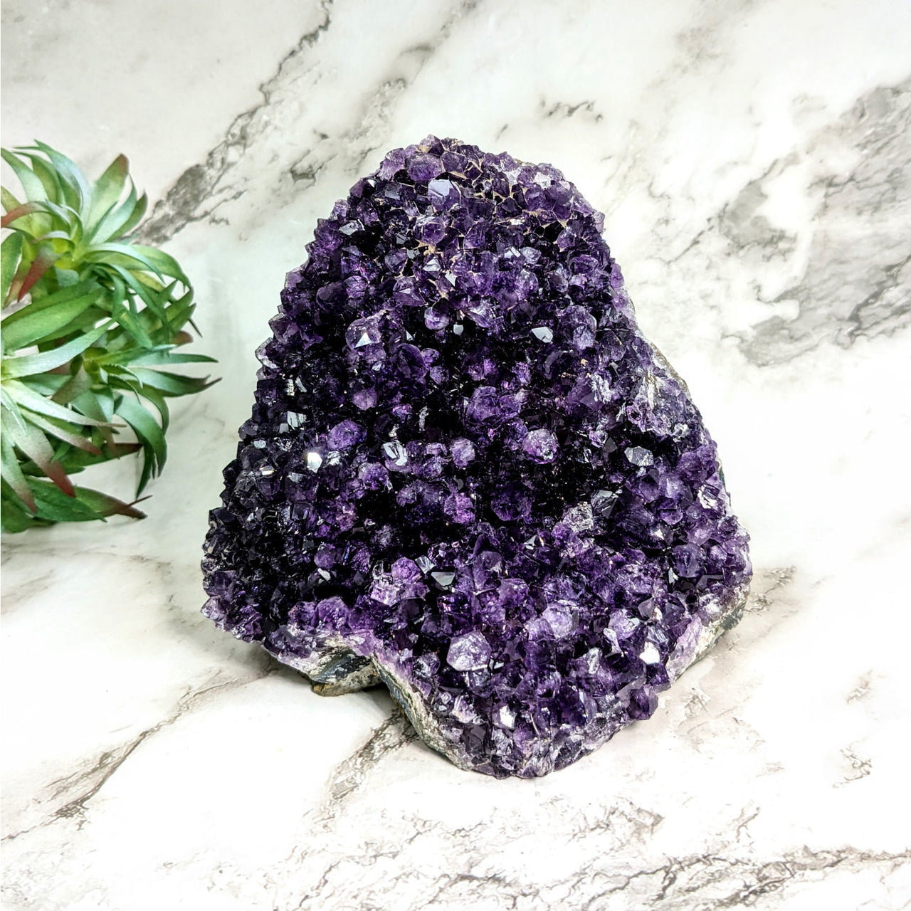 Amethyst Druzy 4.5’ Geode Cut Base #LV4721 - Stunning Purple Amethite Crystal Cluster