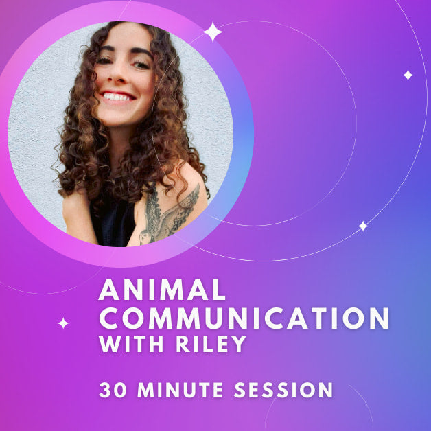 Animal Communication Reading With Riley- 30 minute Session with woman and purple background