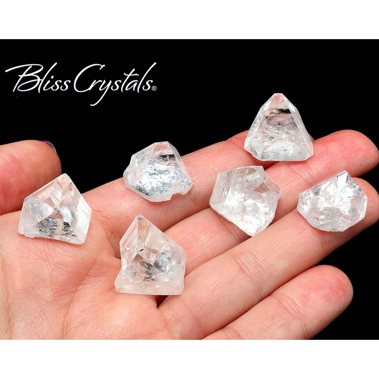 Hand holding natural rough point baby quartz crystals from APOPHYLLITE 6 pack #AT51