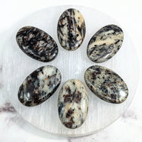 Thumbnail for Astrophyllite Palm Stones: Six Black and White Stones on a White Plate, Marble Surface