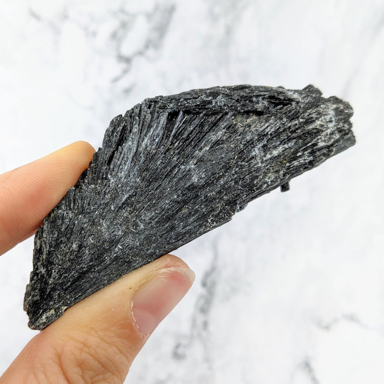 A hand holding a piece of black coal from Black Kyanite 2 - 5’ Rough Stone #LV2425