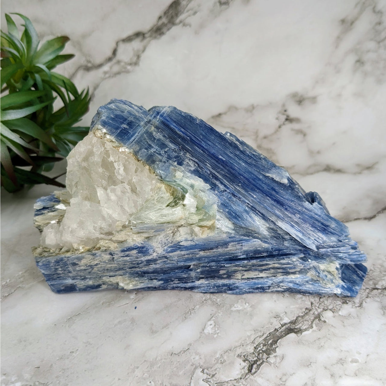 Blue kyanite 5.7’ rough specimen #LV4019 with blue and white quartz and small quartz piece