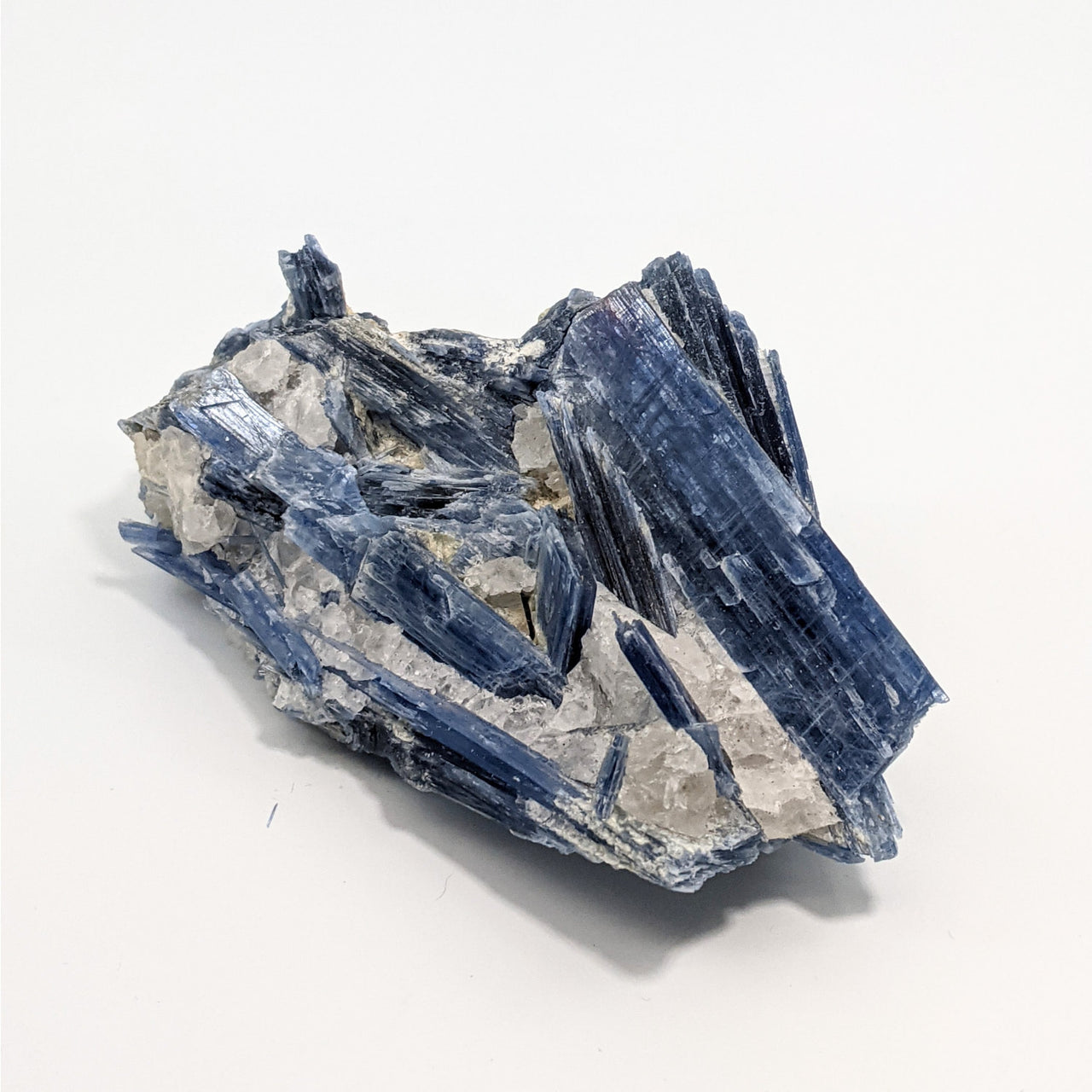 Blue Kyanite 523g Rough Specimen #R227 - Stunning blue and white quartz mineral piece