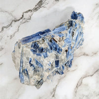 Thumbnail for Blue Kyanite rough specimen 7.5 inch on marble counter - product #LV4117