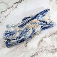 Thumbnail for Blue Kyanite 9.3’ Rough Specimen #LV4115: Blue and white marble slab with gold leaf detailing