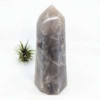 Thumbnail for Blue Rose Quartz 7.5’ Generator Tower with air plant, large grey stone, SKU #SK9248