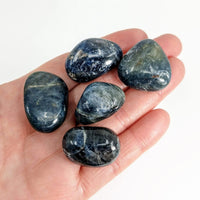 Thumbnail for A hand holding blue sapphire tumbled stones from product Blue Sapphire Tumbled Stone #LV3899