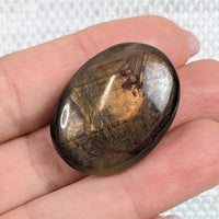 Thumbnail for Holding the Bronze Sapphire 1.2’ Palm Stone #LV4810 in hand - perfect palm stones for wellness