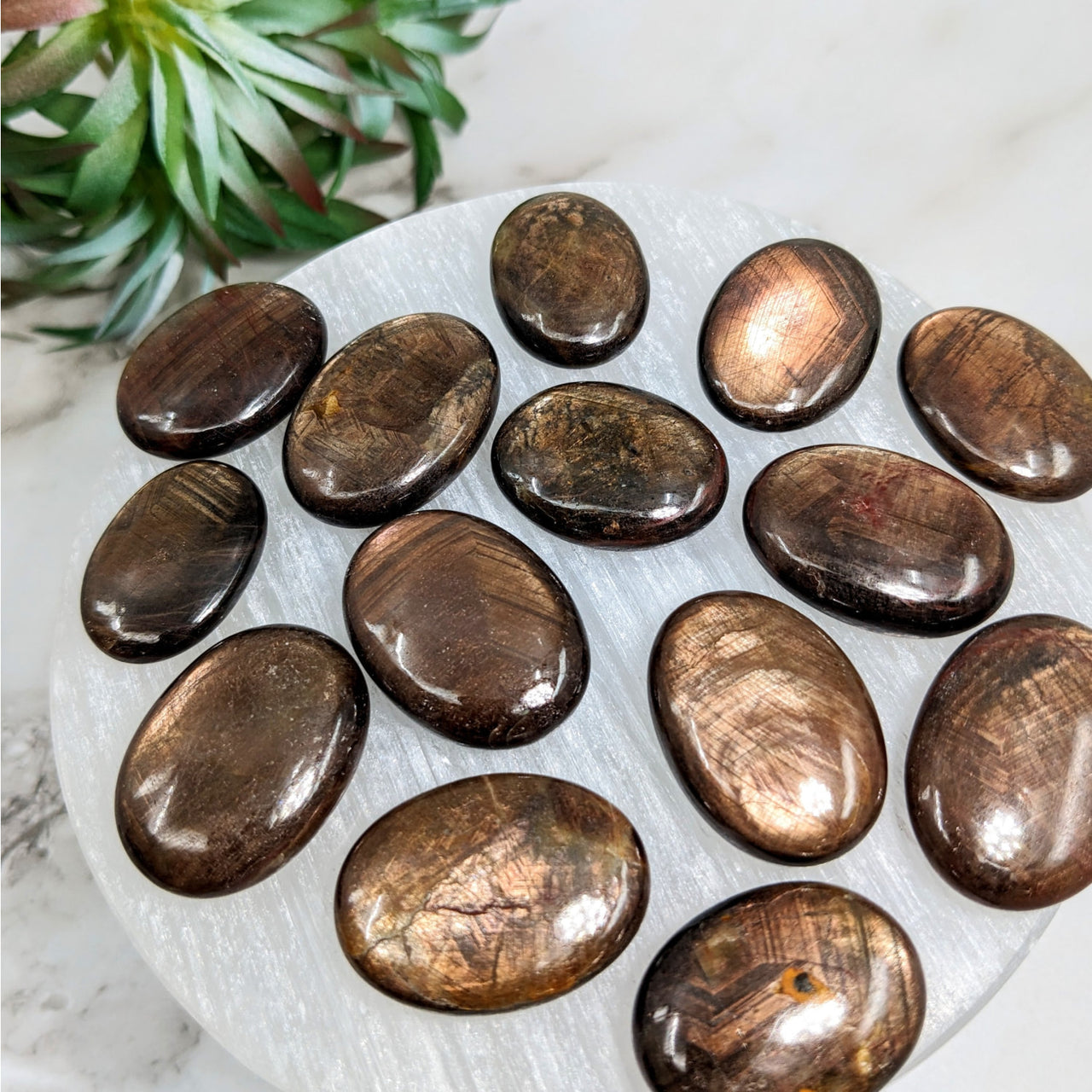 White marble plate with Bronze Sapphire palm stones featuring brown and black striped pebbles