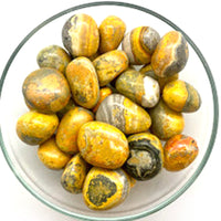 Thumbnail for 1 Bumblebee Jasper Tumbled Stone #SK6466