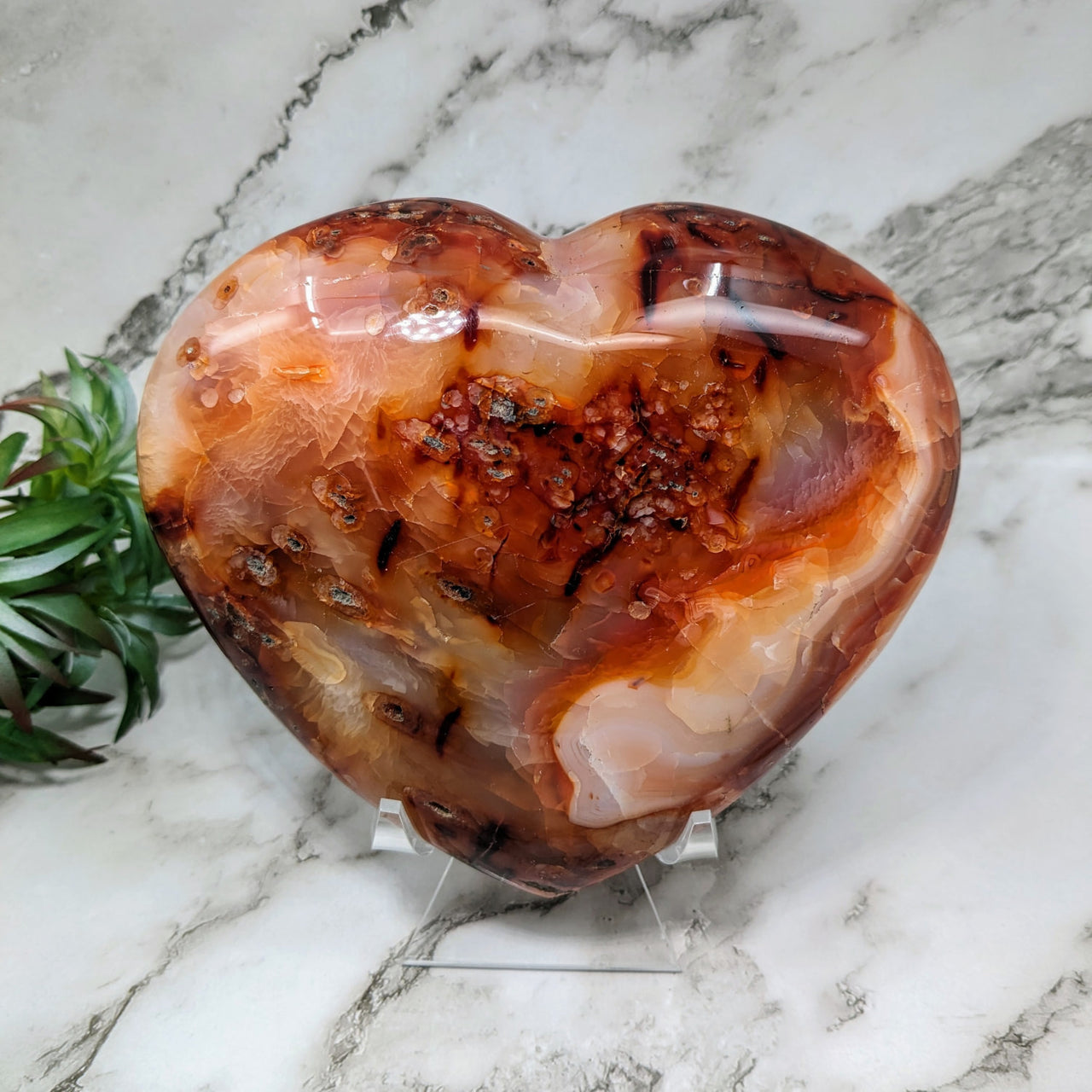 Heart-shaped Carnelian rock with a plant in the background - Jumbo Heart #LV5051