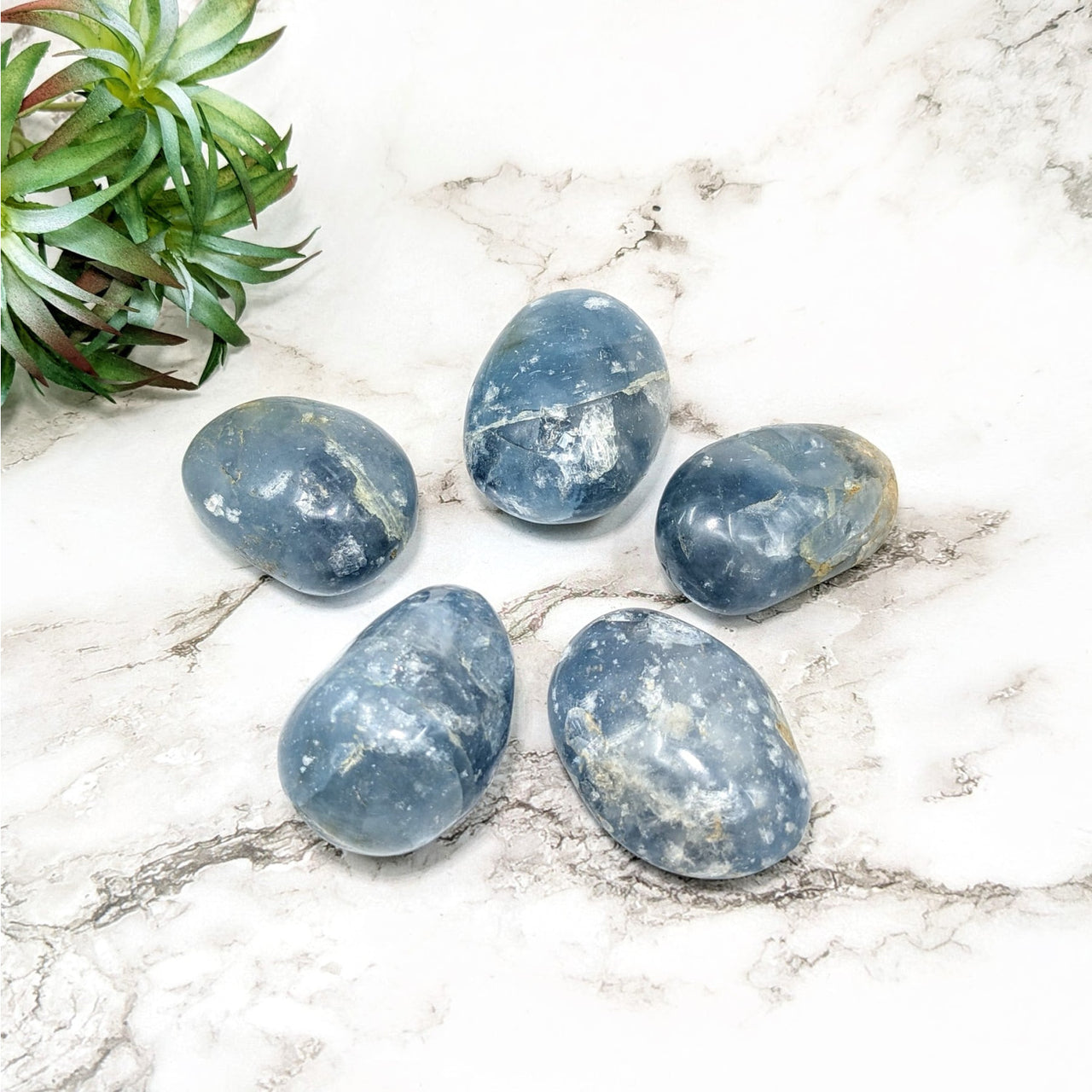 Celestite 2.1-2.4’ Large Polished Pebble #LV4543: Four blue quartz stones on a marble table