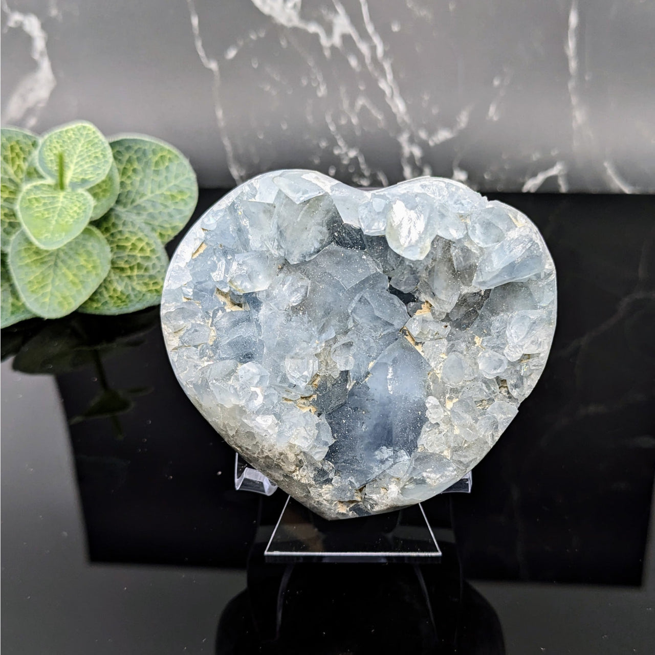 Heart-shaped aquamarine quartz with clear quartz in Celestite 3.2’ Geode Heart #LV5711